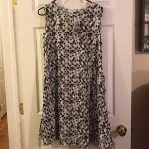 Piphany Sunnyvale adress